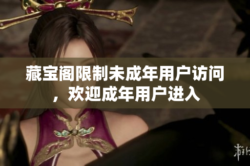 藏寶閣限制未成年用戶訪問，歡迎成年用戶進入