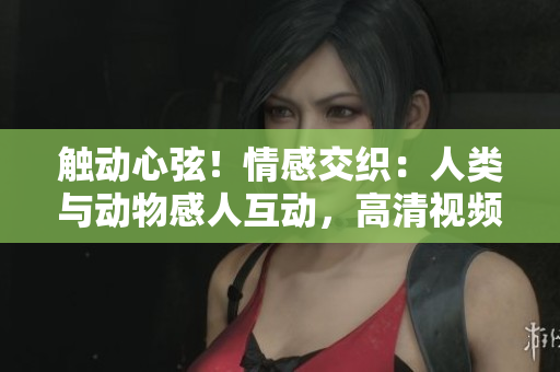 觸動(dòng)心弦！情感交織：人類與動(dòng)物感人互動(dòng)，高清視頻素材免費(fèi)下載