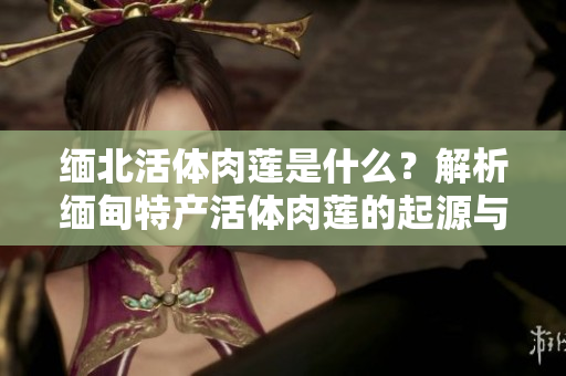 緬北活體肉蓮是什么？解析緬甸特產(chǎn)活體肉蓮的起源與特點(diǎn)