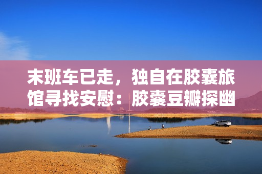 末班車已走，獨(dú)自在膠囊旅館尋找安慰：膠囊豆瓣探幽之旅