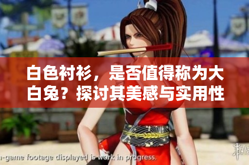 白色襯衫，是否值得稱為大白兔？探討其美感與實用性