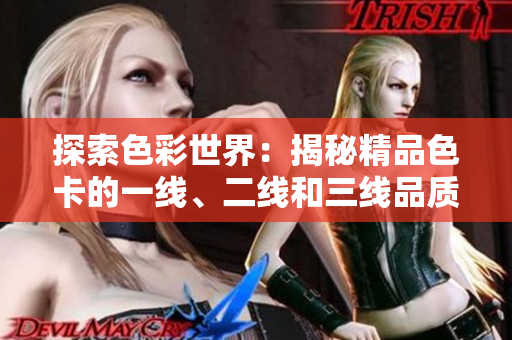 探索色彩世界：揭秘精品色卡的一線、二線和三線品質(zhì)等級