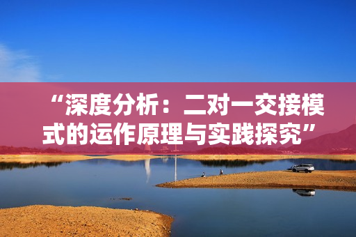 “深度分析：二對一交接模式的運(yùn)作原理與實踐探究”