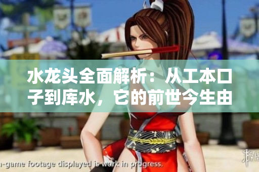 水龍頭全面解析：從工本口子到庫水，它的前世今生由來已久