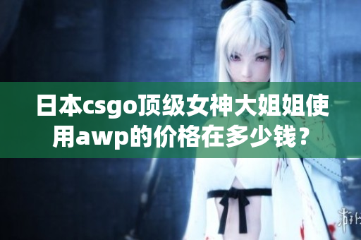日本csgo頂級女神大姐姐使用awp的價格在多少錢？