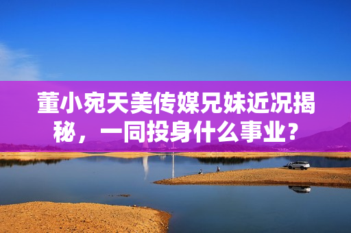 董小宛天美傳媒兄妹近況揭秘，一同投身什么事業(yè)？