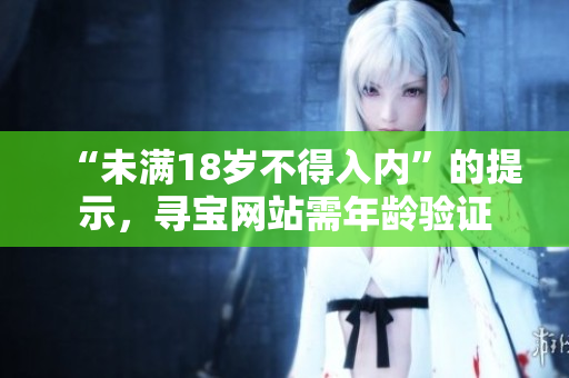 “未滿18歲不得入內(nèi)”的提示，尋寶網(wǎng)站需年齡驗(yàn)證