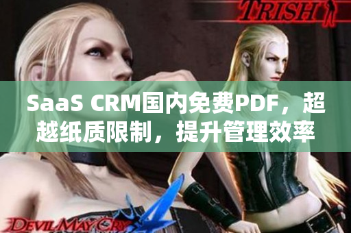SaaS CRM國內(nèi)免費(fèi)PDF，超越紙質(zhì)限制，提升管理效率