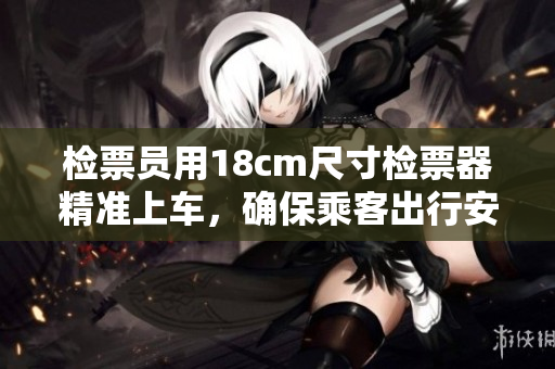 檢票員用18cm尺寸檢票器精準上車，確保乘客出行安全