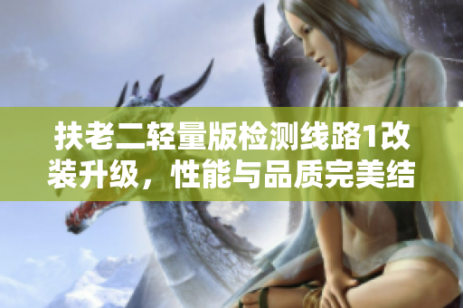 扶老二輕量版檢測(cè)線(xiàn)路1改裝升級(jí)，性能與品質(zhì)完美結(jié)合