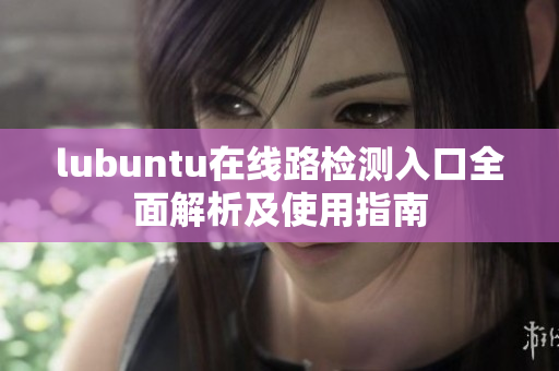 lubuntu在線路檢測(cè)入口全面解析及使用指南