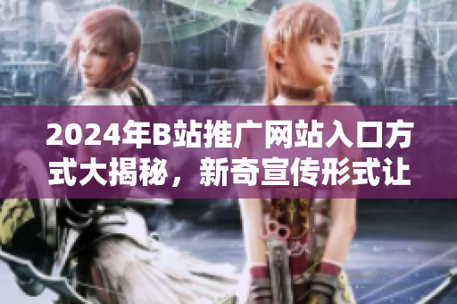 2024年B站推廣網(wǎng)站入口方式大揭秘，新奇宣傳形式讓你眼前一亮