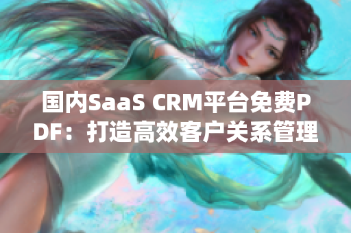 國內(nèi)SaaS CRM平臺免費PDF：打造高效客戶關(guān)系管理系統(tǒng)