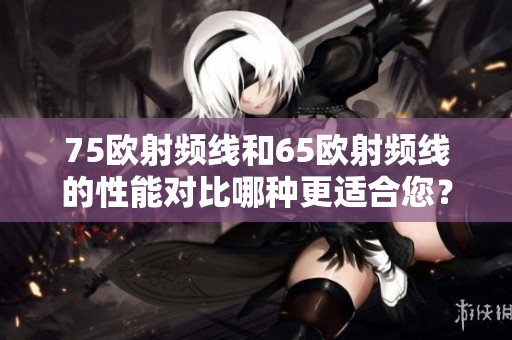 75歐射頻線和65歐射頻線的性能對(duì)比哪種更適合您？