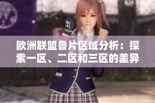 歐洲聯(lián)盟魯片區(qū)域分析：探索一區(qū)、二區(qū)和三區(qū)的差異與共通