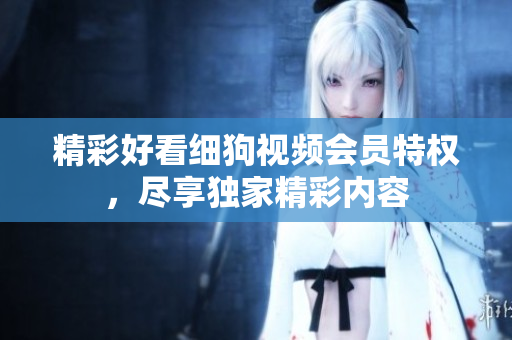 精彩好看細狗視頻會員特權(quán)，盡享獨家精彩內(nèi)容