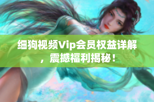 細狗視頻Vip會員權益詳解，震撼福利揭秘！