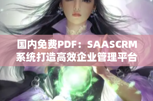 國內免費PDF：SAASCRM系統(tǒng)打造高效企業(yè)管理平臺