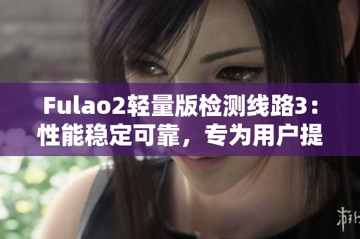Fulao2輕量版檢測線路3：性能穩(wěn)定可靠，專為用戶提供高效檢測體驗