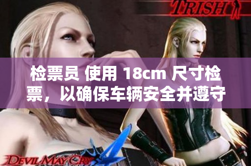檢票員 使用 18cm 尺寸檢票，以確保車輛安全并遵守規(guī)定