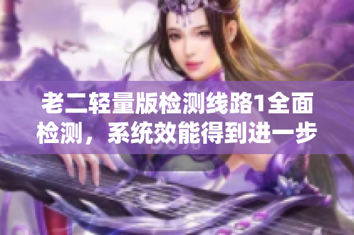 老二輕量版檢測線路1全面檢測，系統(tǒng)效能得到進(jìn)一步提升