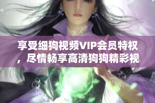 享受細(xì)狗視頻VIP會(huì)員特權(quán)，盡情暢享高清狗狗精彩視頻