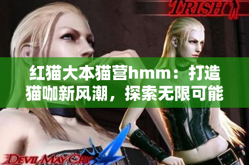 紅貓大本貓營hmm：打造貓咖新風潮，探索無限可能