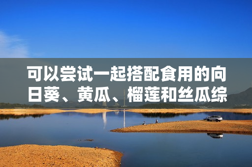 可以嘗試一起搭配食用的向日葵、黃瓜、榴蓮和絲瓜綜合探討