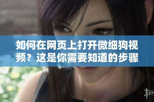 如何在網(wǎng)頁上打開微細(xì)狗視頻？這是你需要知道的步驟