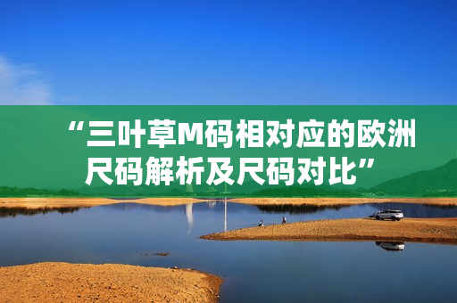 “三葉草M碼相對應(yīng)的歐洲尺碼解析及尺碼對比”