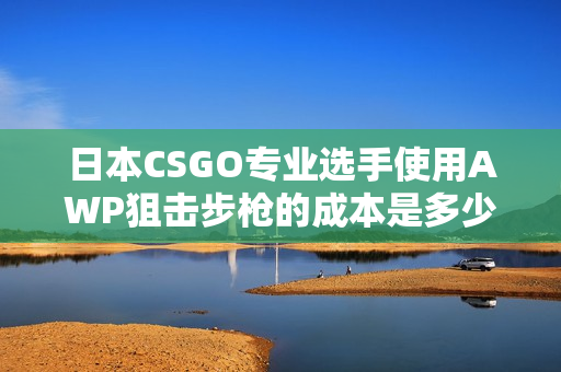 日本CSGO專業(yè)選手使用AWP狙擊步槍的成本是多少？