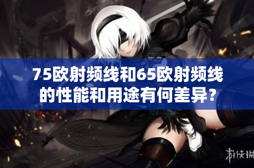 75歐射頻線和65歐射頻線的性能和用途有何差異？